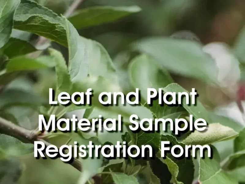 Labserve Laboratories Leaf and Plant Material Analysis sample request form