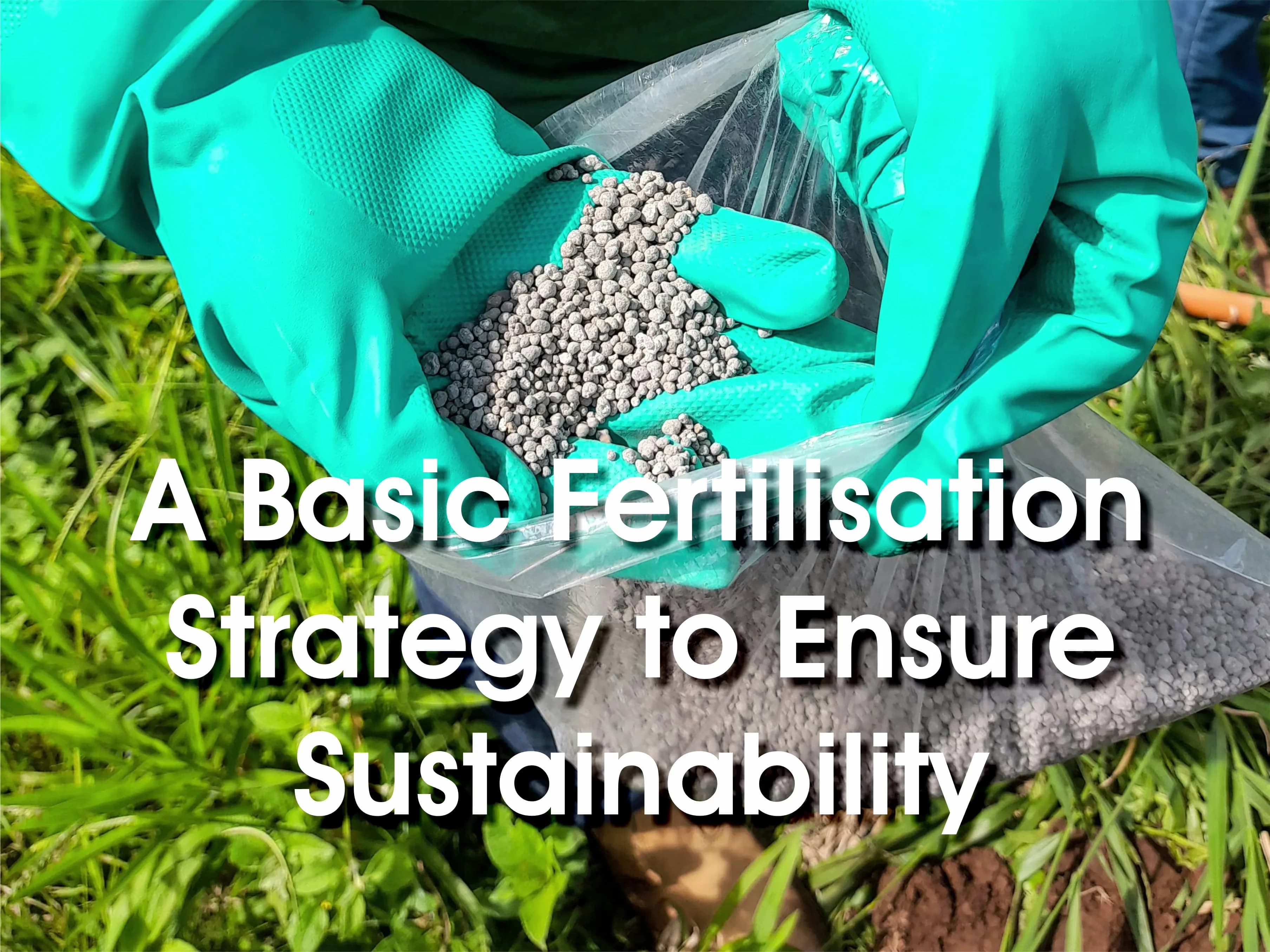 A basic fertilisation strategy to ensure sustainability in crop production