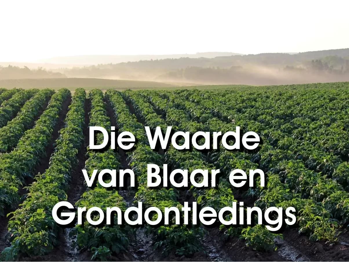 Die waarde van blaar- en grondontledings vir bemesting