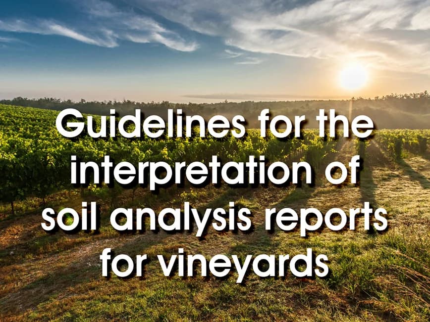 Guidelines for interpretation of soil analysis reports for vineyards