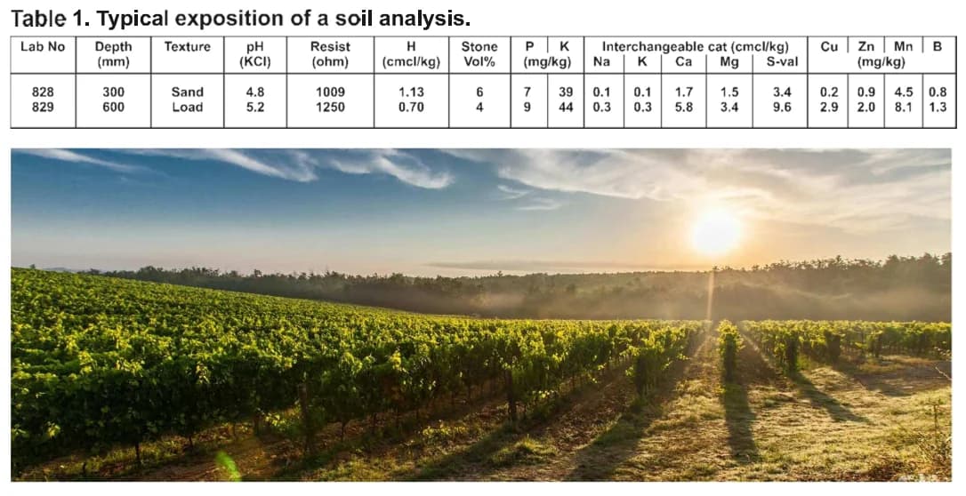 Soil analysis interpretation table for vineyard nutrient guidelines