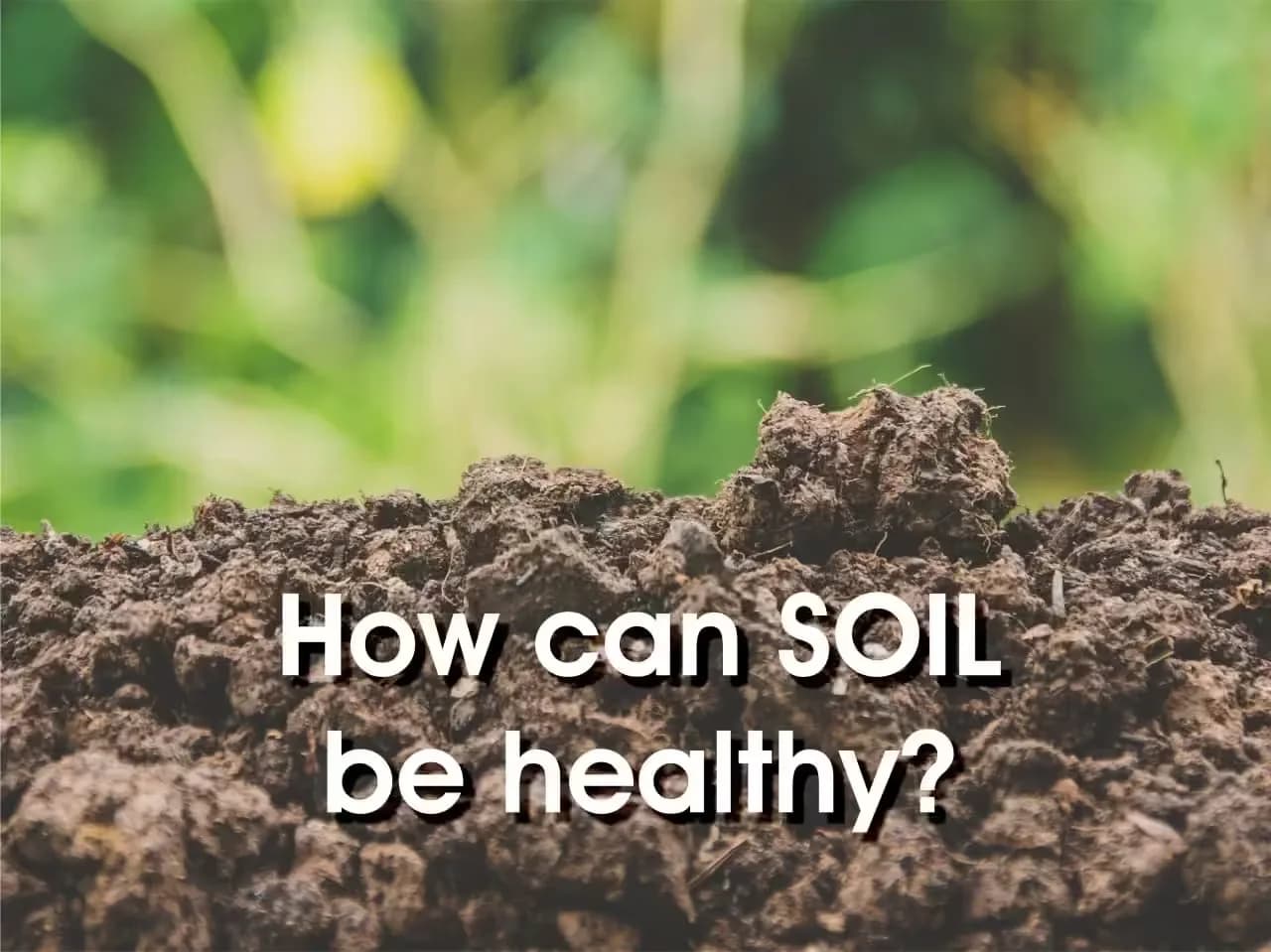How can soil be healthy — soil health guide for producers