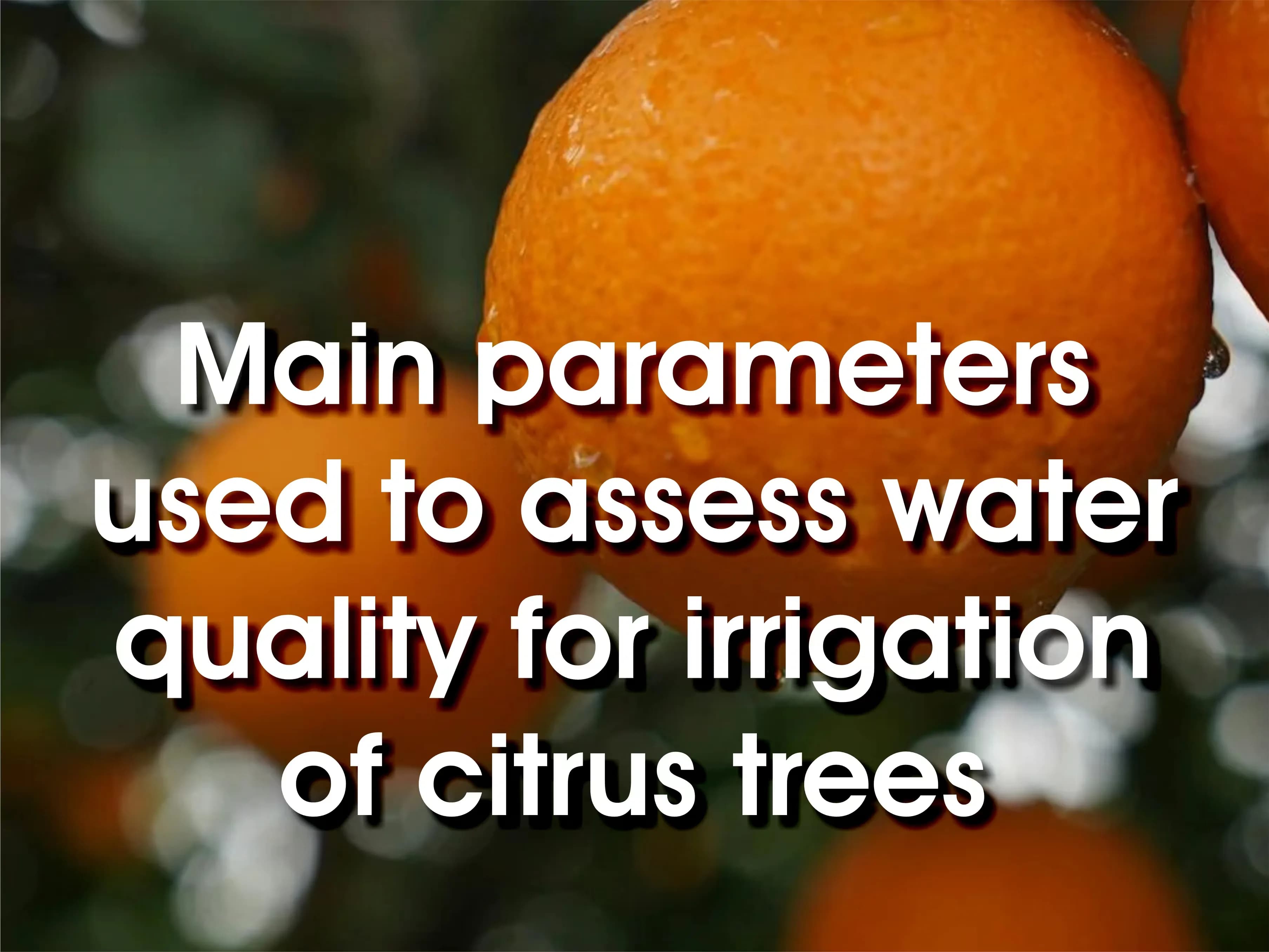 Water quality parameters for citrus tree irrigation assessment
