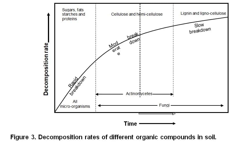Figure 3 — stages of organic matter decomposition and mineral nutrient release