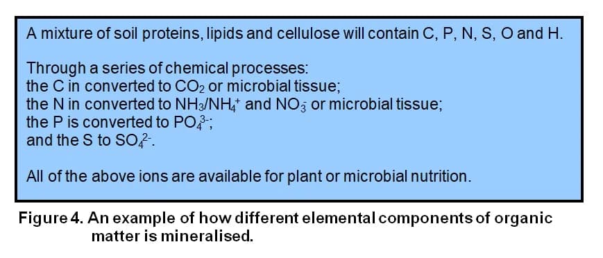 Figure 4 — mineralization process converting organic compounds to mineral nutrients