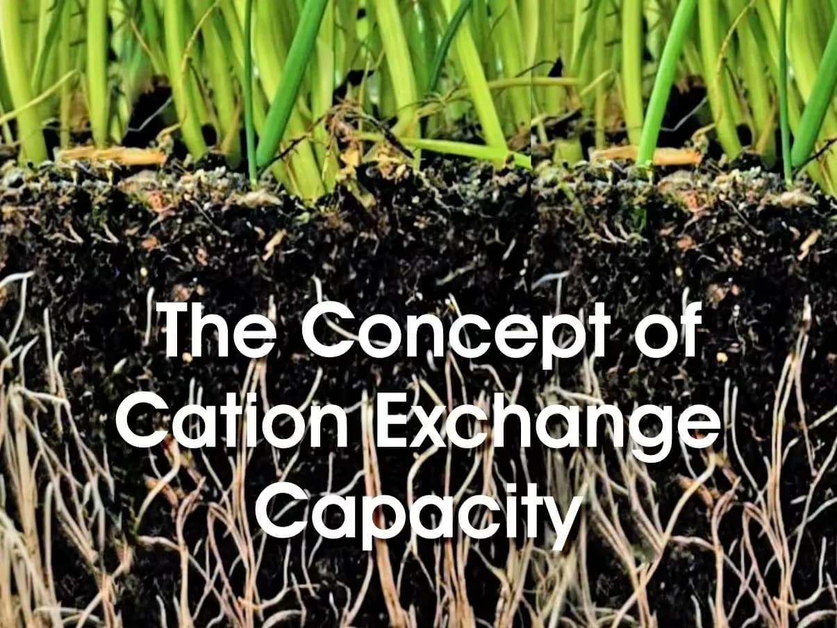 The concept of cation exchange capacity in soil testing