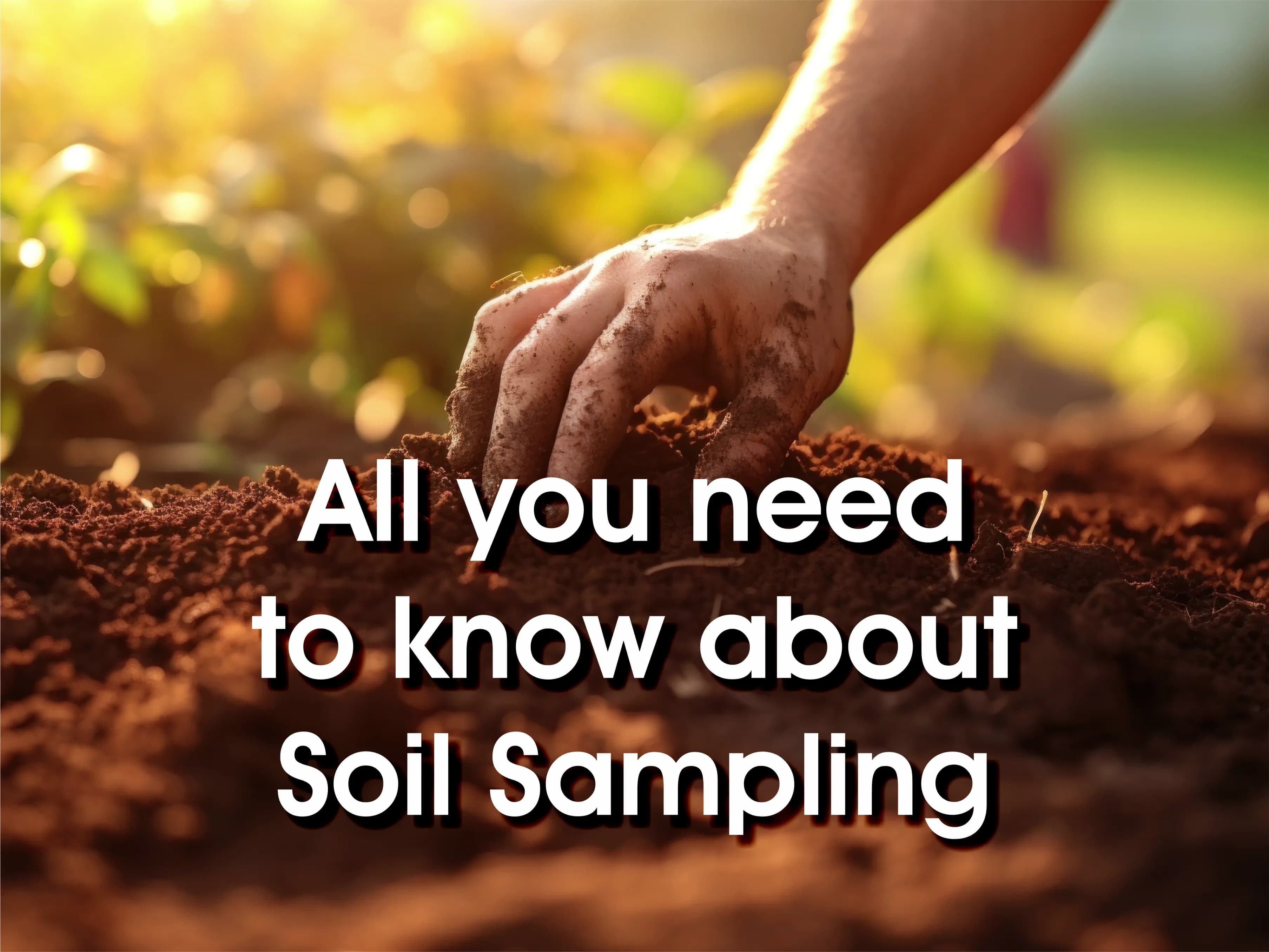 Soil sampling techniques for accurate laboratory analysis