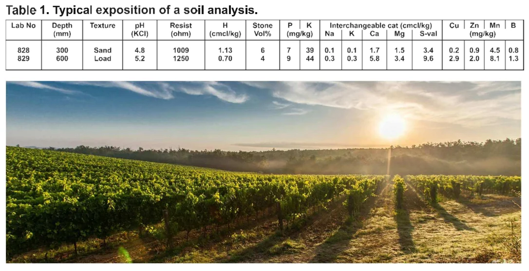 Soil analysis interpretation table for vineyard nutrient guidelines