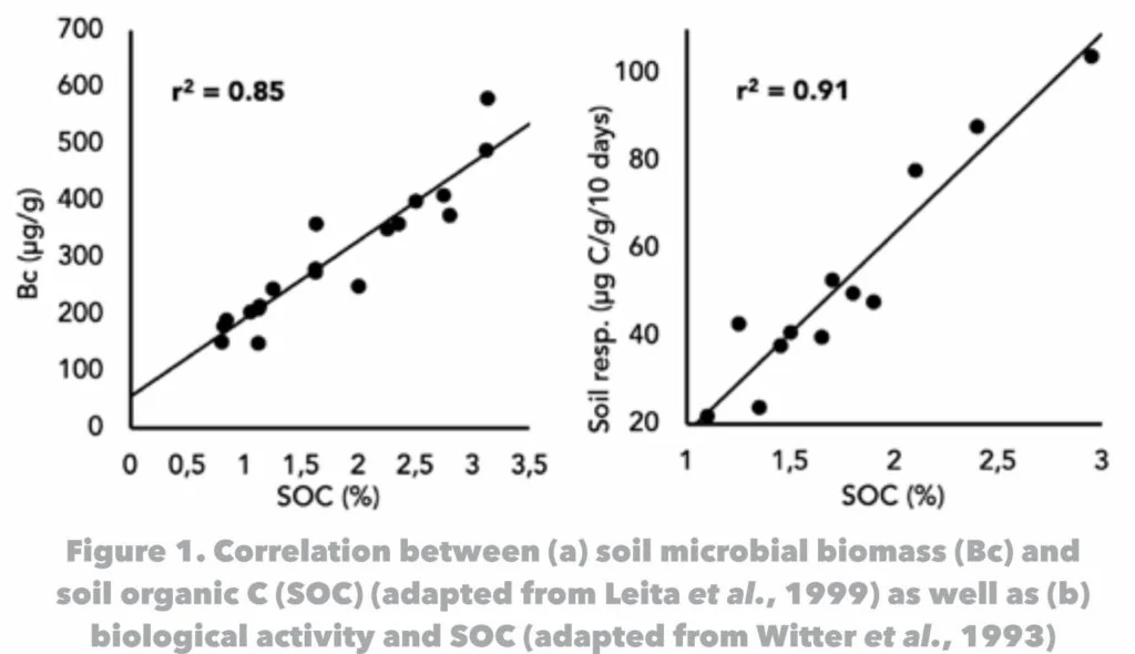 Illustration of soil organic carbon and root health relationship