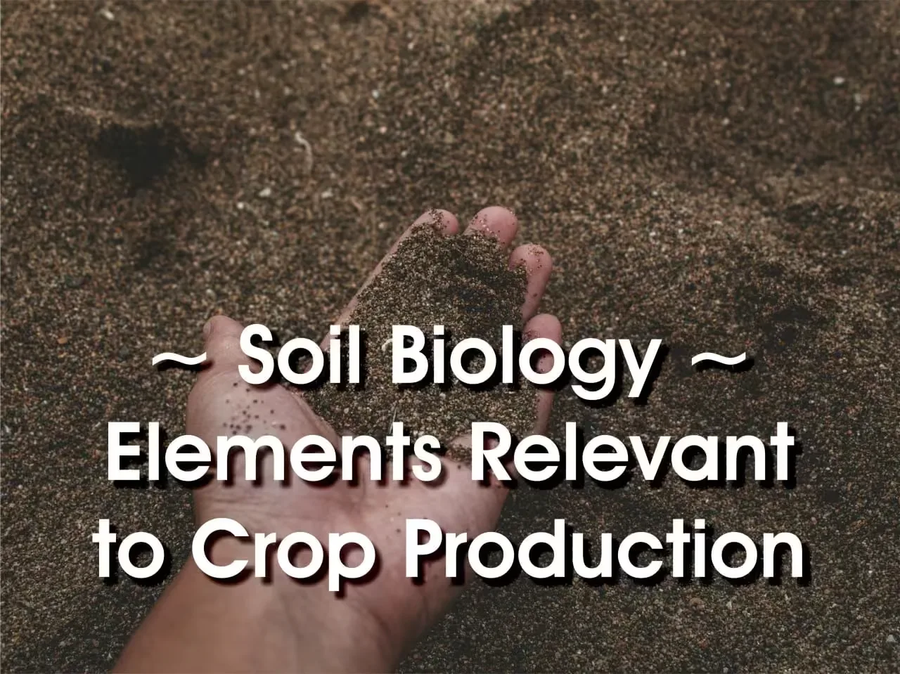 Soil biology elements relevant to crop production