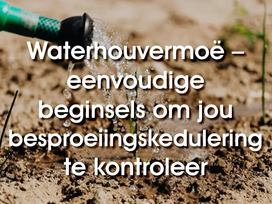 Waterhouvermoe - eenvoudige beginsels om jou besproeiingskedulering te kontroleer